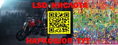 ГАЛЛЮЦИНОГЕННЫЕ ГРИБЫ Сланцы