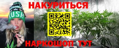 мяу мяу мука Славгород