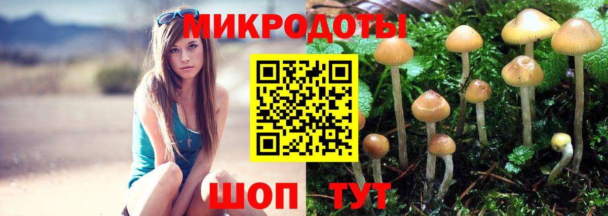 Галлюциногенные грибы Magic Shrooms  Вход с VPN  Галлюциногенные грибы мухоморы  Нижнекамск 